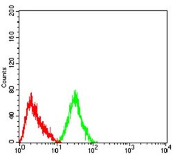Nicotinic Acetylcholine R alpha 4/CHRNA4 Antibody (7B4H1) - BSA Free, Novus